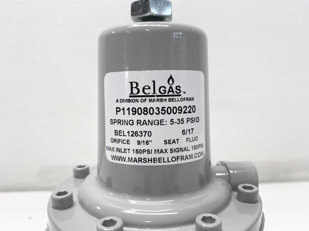 Belgas P119 Pressure Regulator, 2" NPT, 150 PSI, P11908035009220