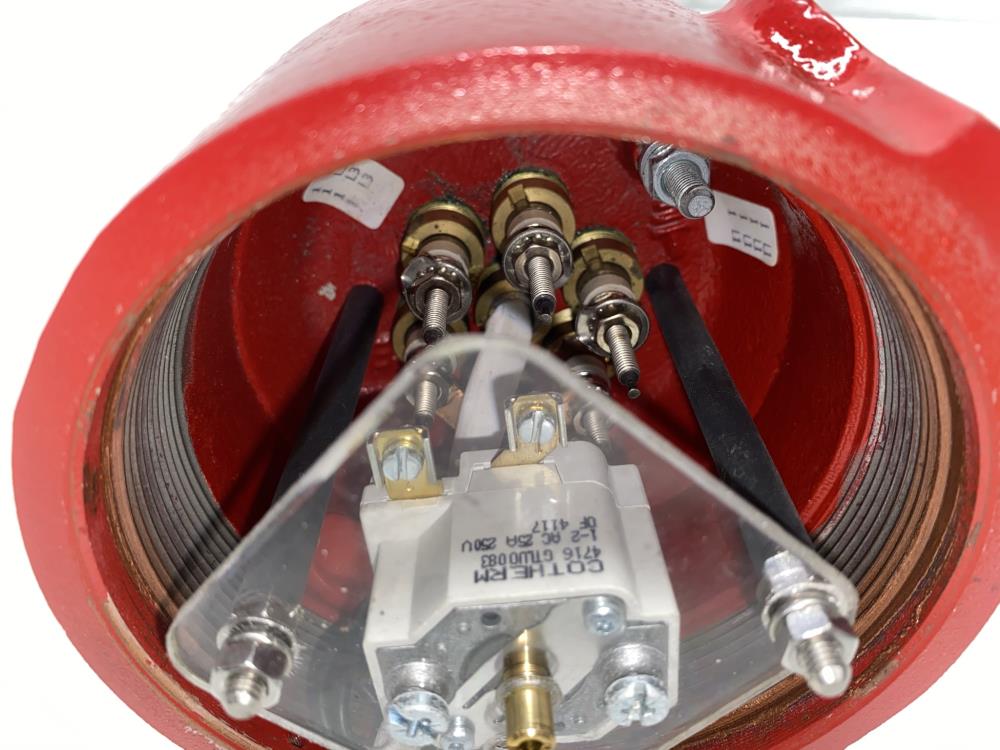 Chromalox 2" Screw Plug Haz Loc Immersion Heater FPSLT015/15, 156-306329-083