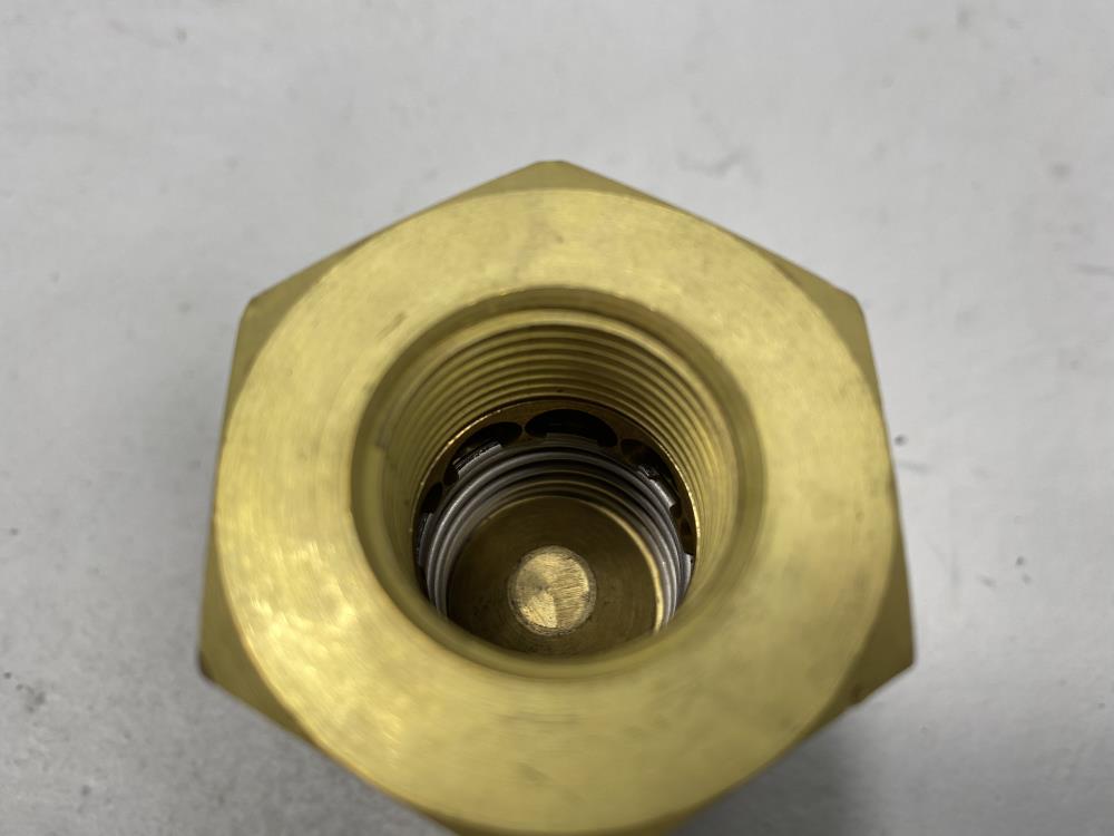 Circle Seal 3/4" NPT 3000 PSI Brass Check Valve 249B-6PP