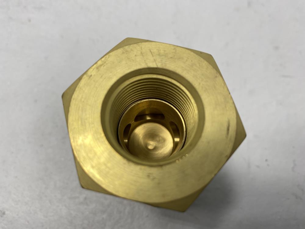 Circle Seal 3/4" NPT 3000 PSI Brass Check Valve 249B-6PP