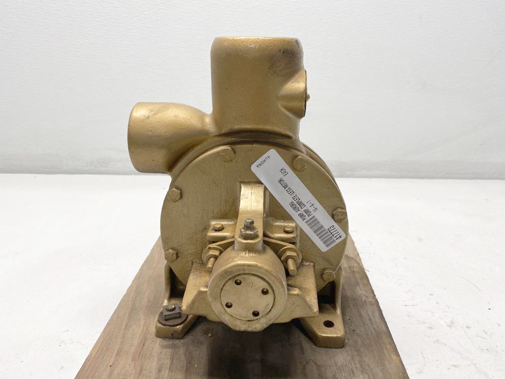 Aurora 1-1/4" NPT Turbine Pump I4 AIC, 14-A-1