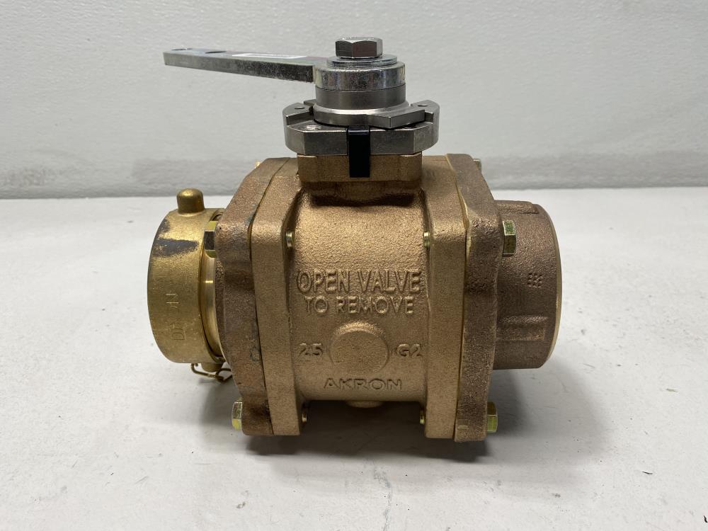 Akron 2.5" FNPT X 2.5" NST Brass Heavy-Duty Swing Out Valve 88250119