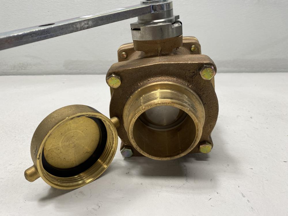 Akron 2.5" FNPT X 2.5" NST Brass Heavy-Duty Swing Out Valve 88250119