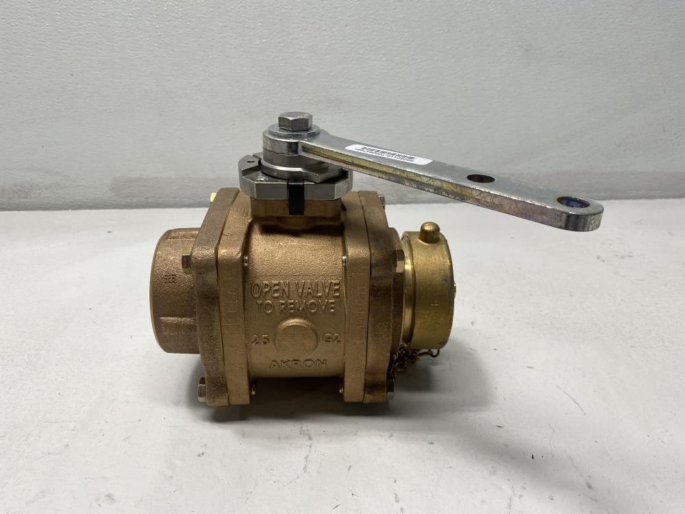 Akron 2.5" FNPT X 2.5" NST Brass Heavy-Duty Swing Out Valve 88250119