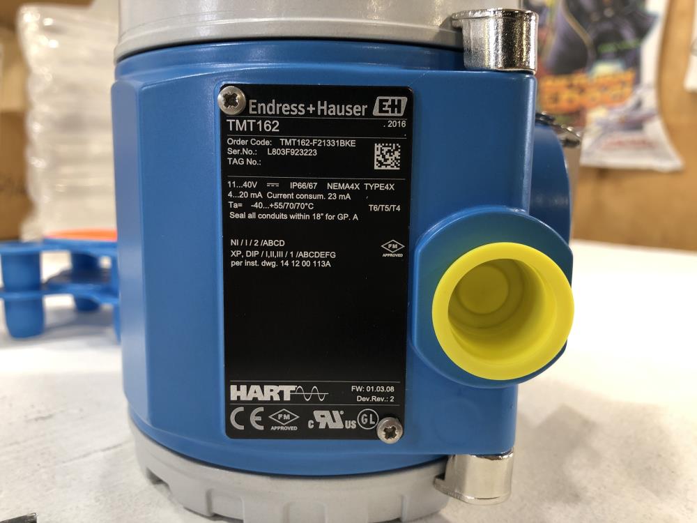 Endress + Hauser Temperature Field Transmitter TM162-F21331BKE