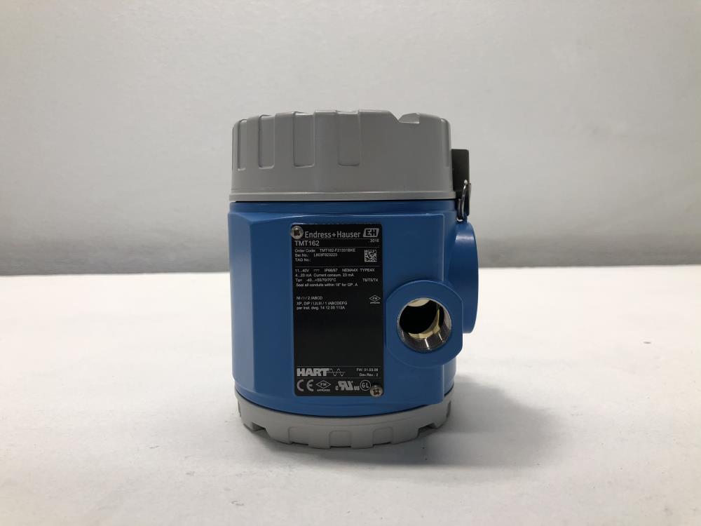 Endress + Hauser Temperature Field Transmitter TM162F21331BKE