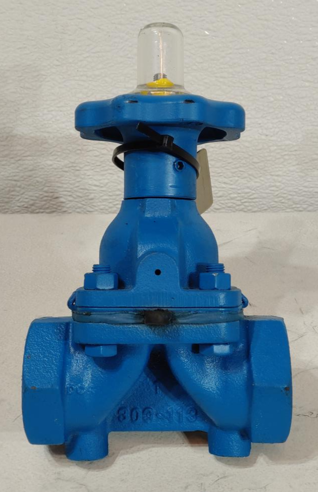 ITT Dia-Flo 1" Threaded Cast Iron Diaphragm Valve, 200 CWP, 010-2401-903-00T