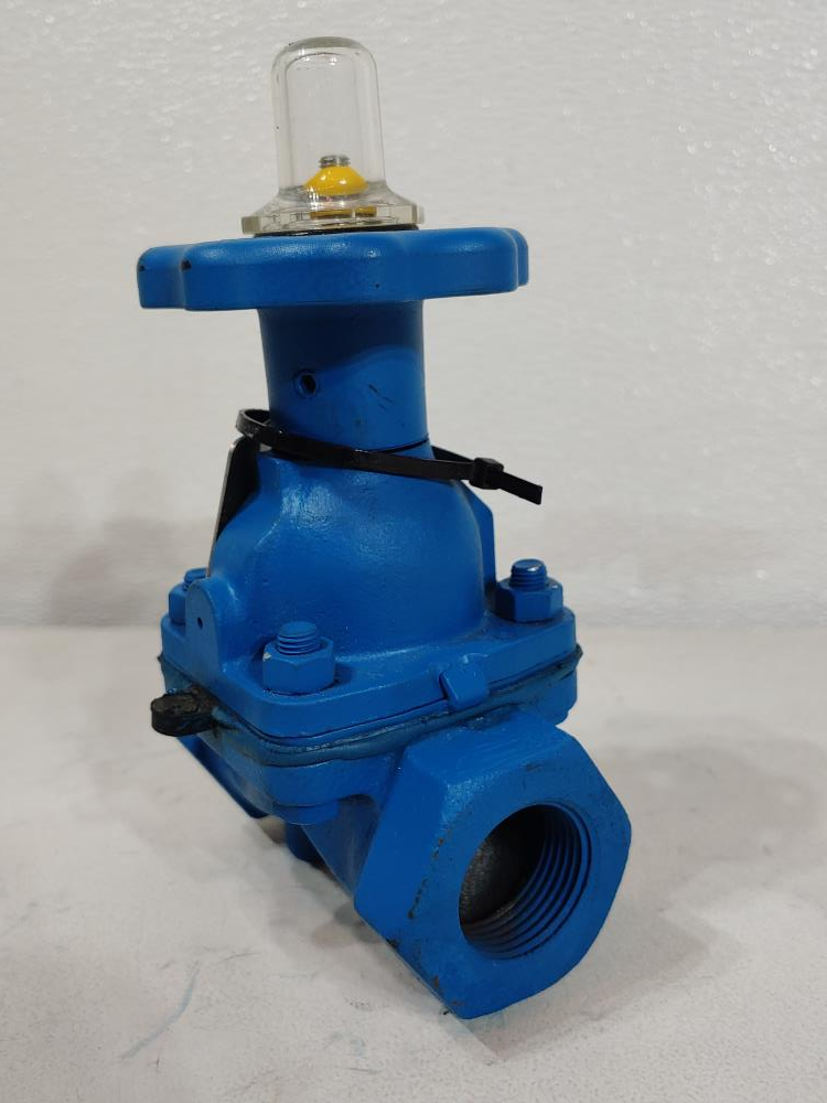 ITT Dia-Flo 1" Threaded Cast Iron Diaphragm Valve, 200 CWP, 010-2401-903-00T