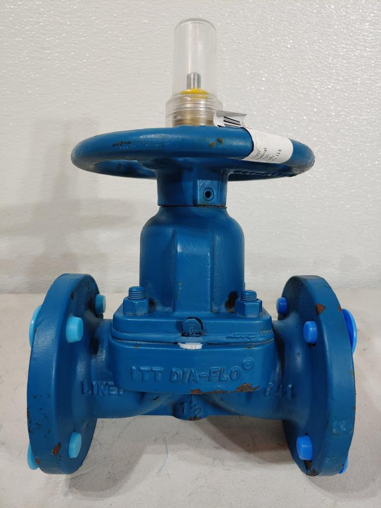 ITT Dia-Flo 1.5" Lined Cast Iron Diaphragm Valve, 175 CWP, 1.5-2559-R2-903