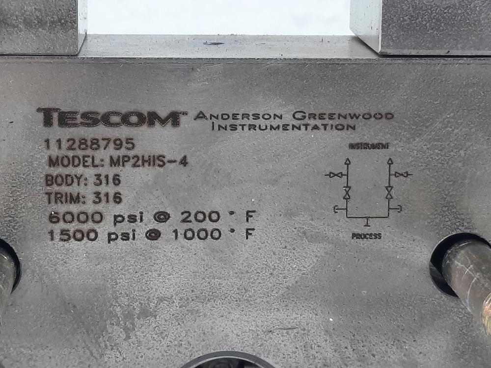 Anderson Green Instrumentation Manifold  MP2HIS-4