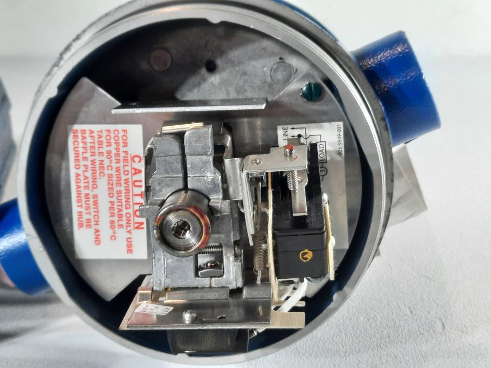 Magnetrol Level Switch B24-1B10-CKP