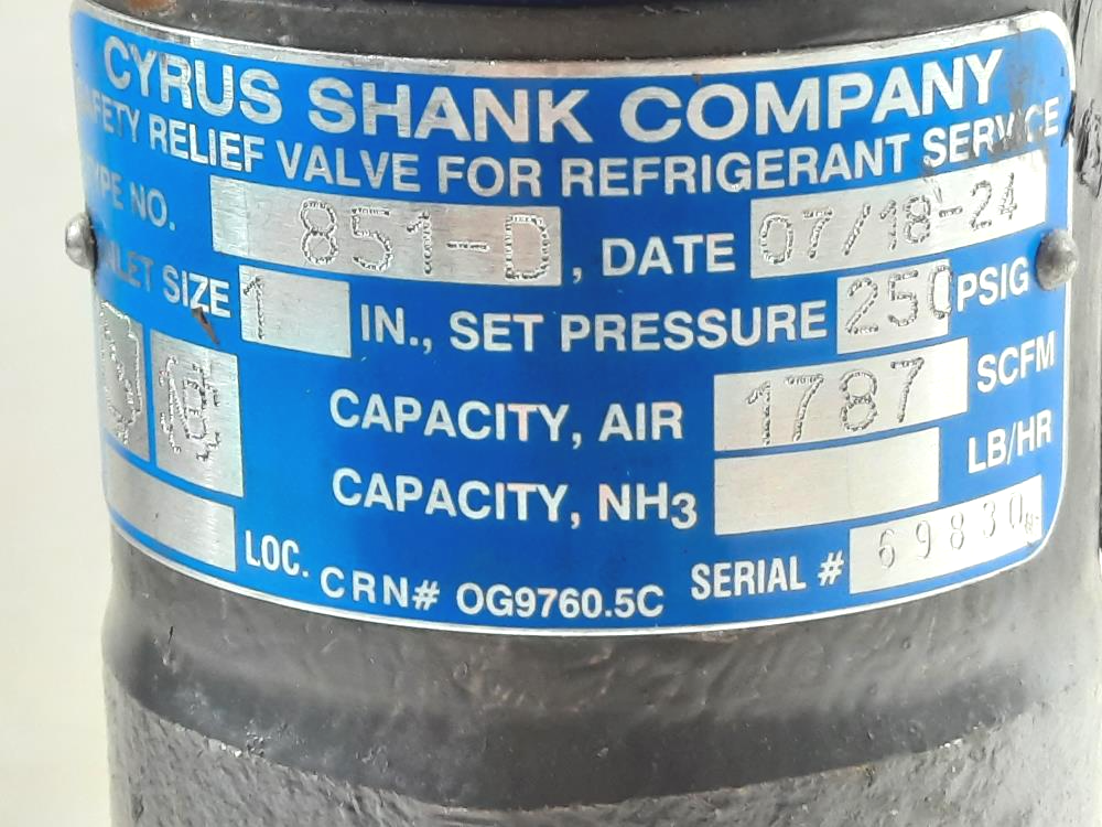 Cyrus Shank 1" x 2" Relief Valve, 851-D, 250 PSIG
