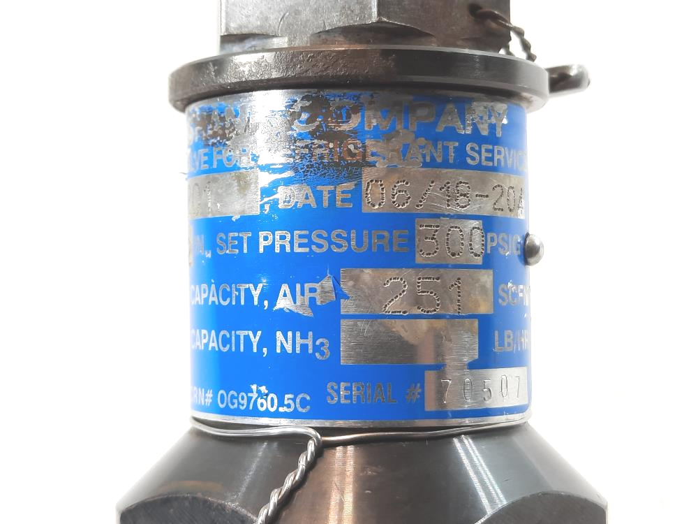 Cyrus Shank 1/2" x 1" Relief Valve, Type 801, 300 PSIG