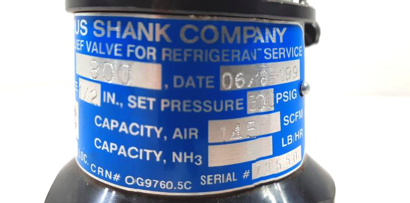 Cyrus Shank 1/2" x 1" Relief Valve, Type 800, 300 PSIG