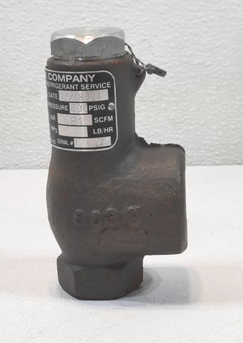 Cyrus Shank 1/2" x 1" Relief Valve Type 803, 300 PSIG