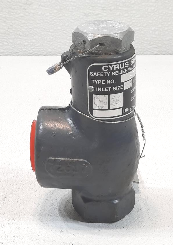 Cyrus Shank 1/2" x 1"  Relief Valve, Type 813, 300 PSIG