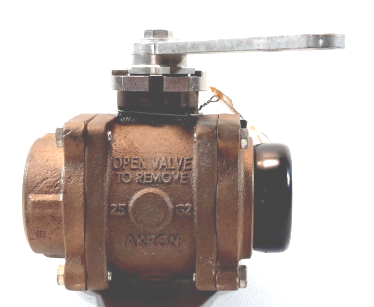 Akron Brass 2.5" Female NPT x 2.5" Male NHT Heavy Duty Swing-Out Valve 89250016