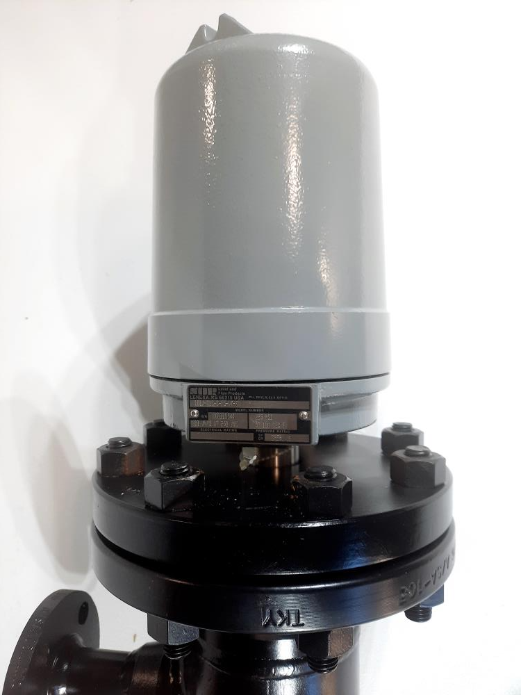 SOR Flanged Level Switch 101A-D1C-C-F5-N7-SD