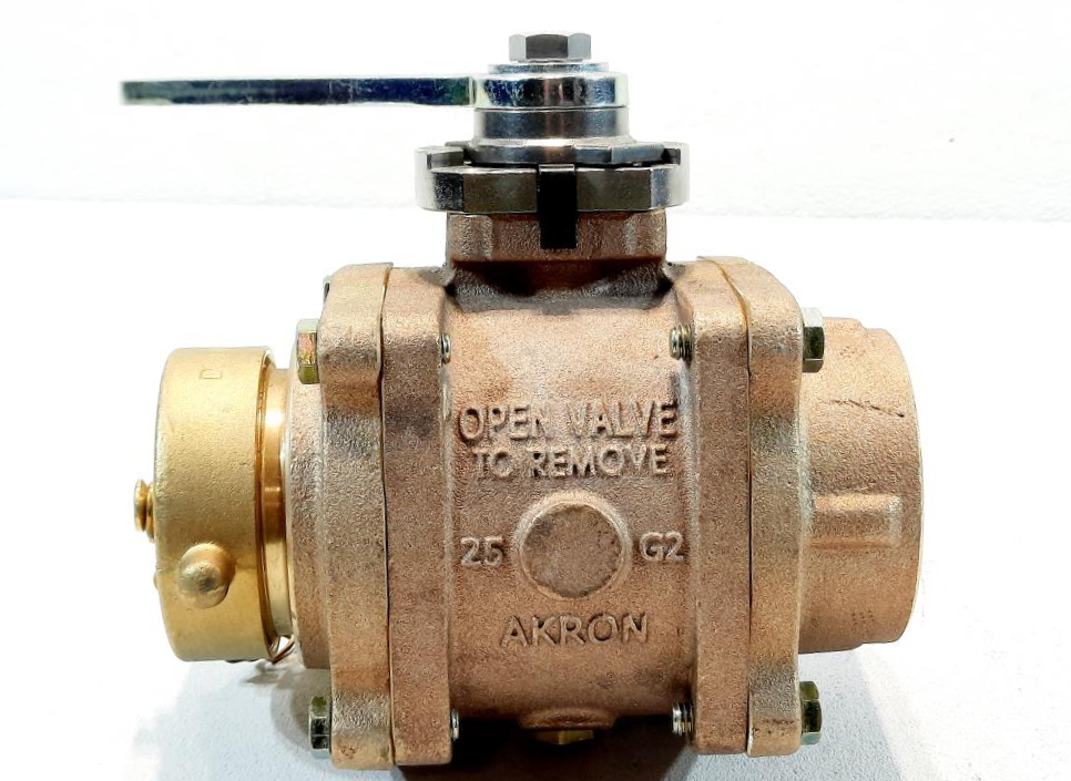 Akron 2.5" FNPT X 2.5" NST Brass HeavyDuty Swing Out Valve 88250119
