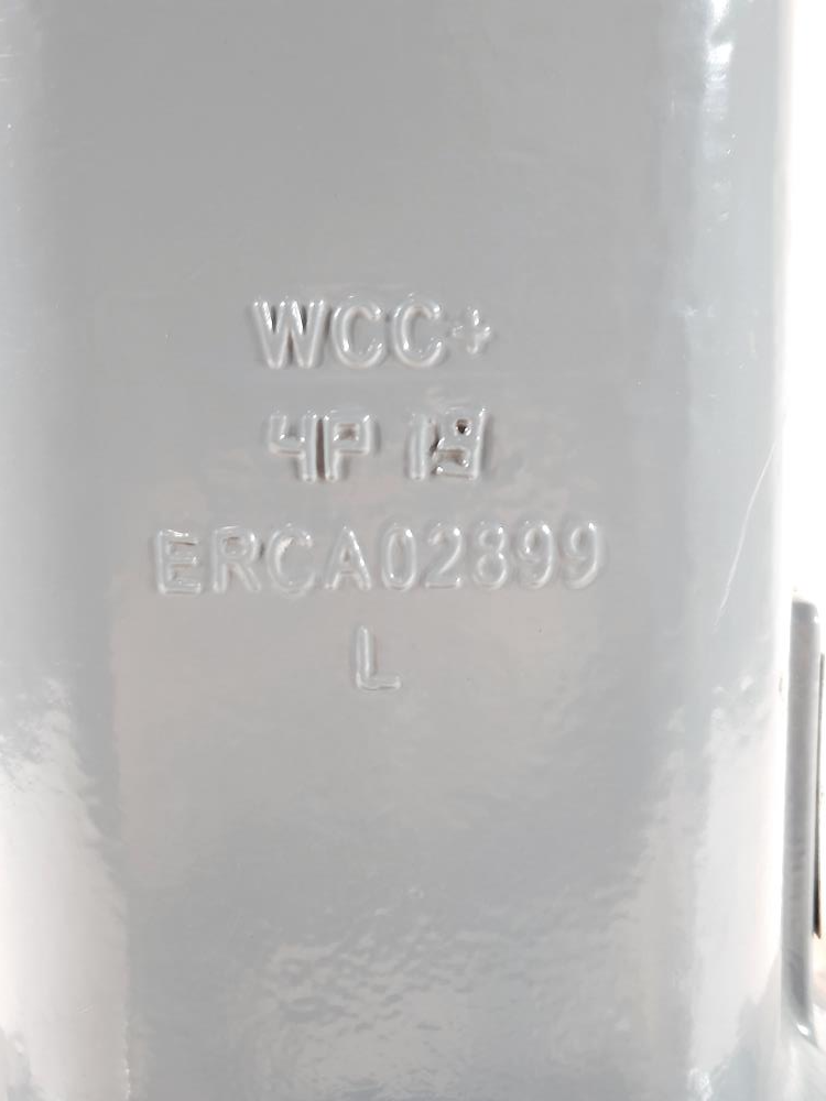 Fisher 2" Type MR95H WCC Regulator