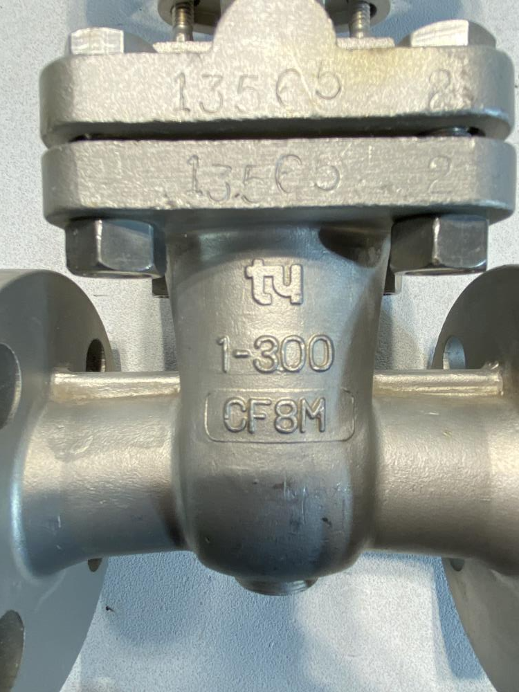 TY 1" 300#  RF CF8M Gate Valve 201RF0910