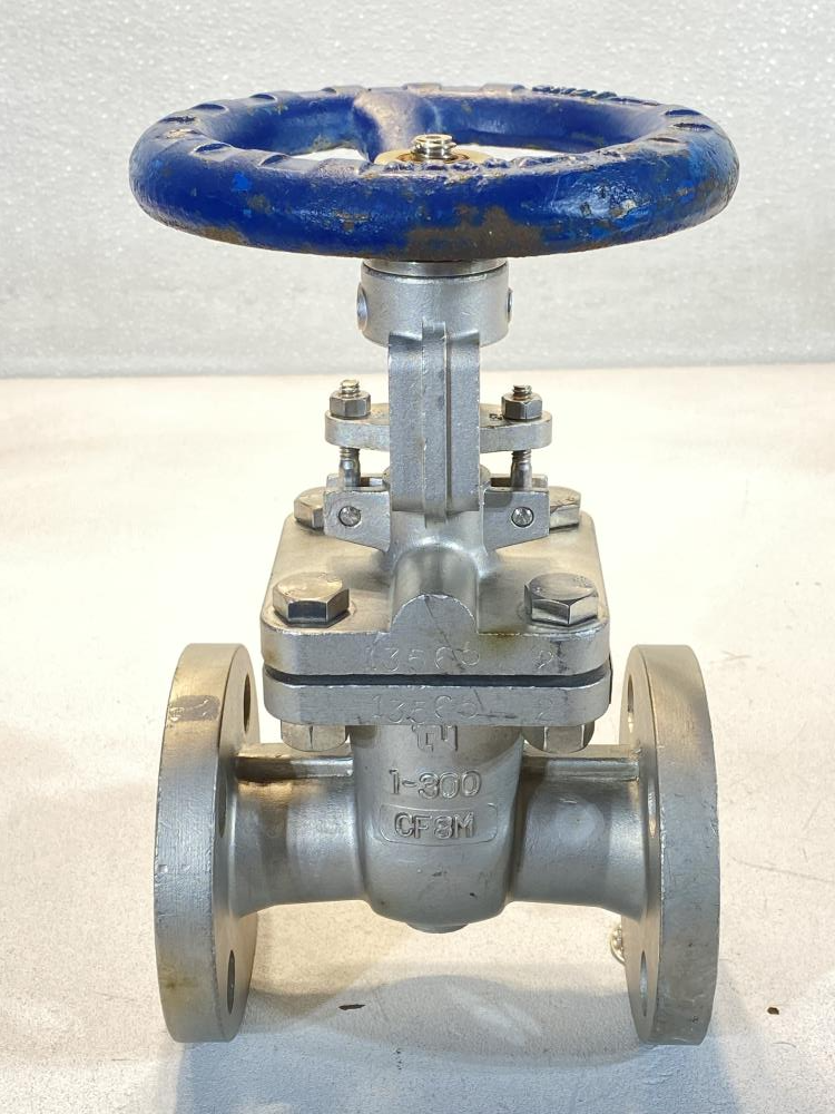 TY 1" 300#  RF CF8M Gate Valve 201RF0910