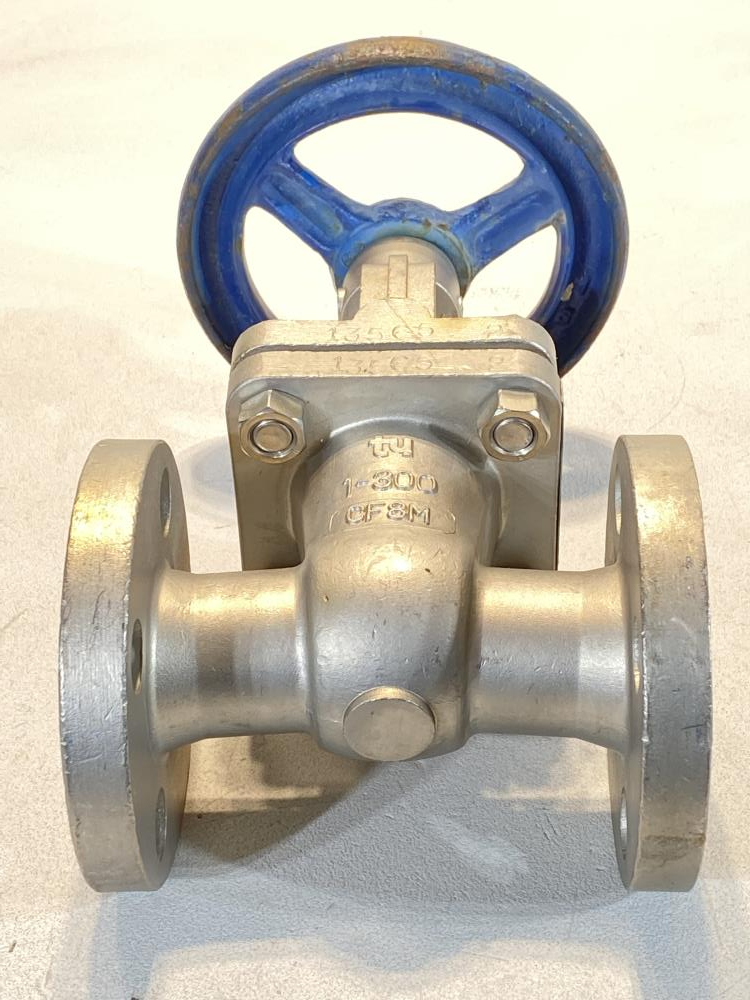 TY 1" 300#  RF CF8M Gate Valve 201RF0910