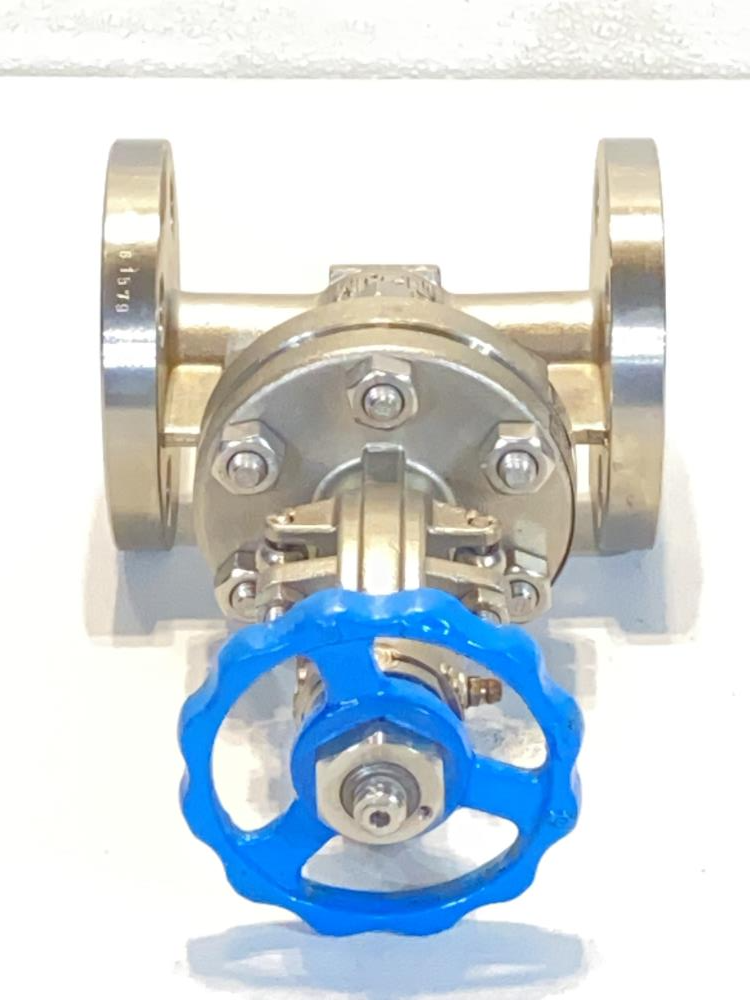 Global 3/4" 300# Gate Valve CF8M