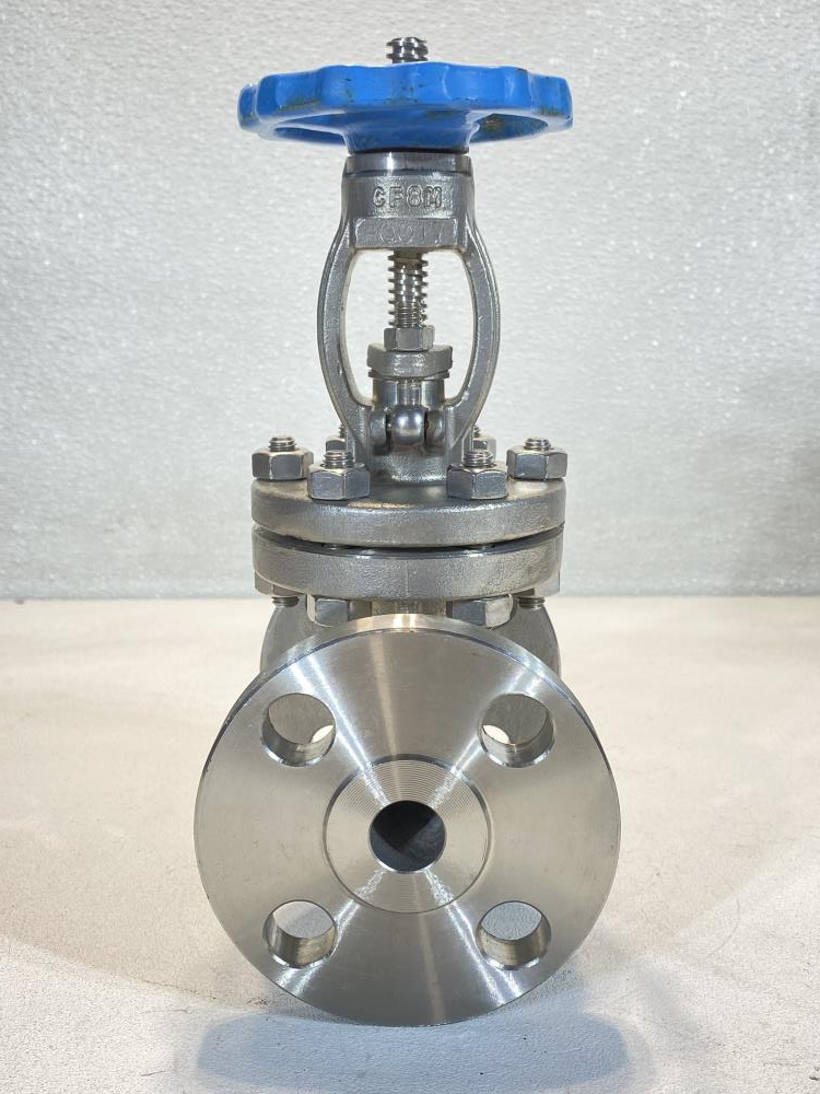 Global 3/4" 300# Gate Valve CF8M