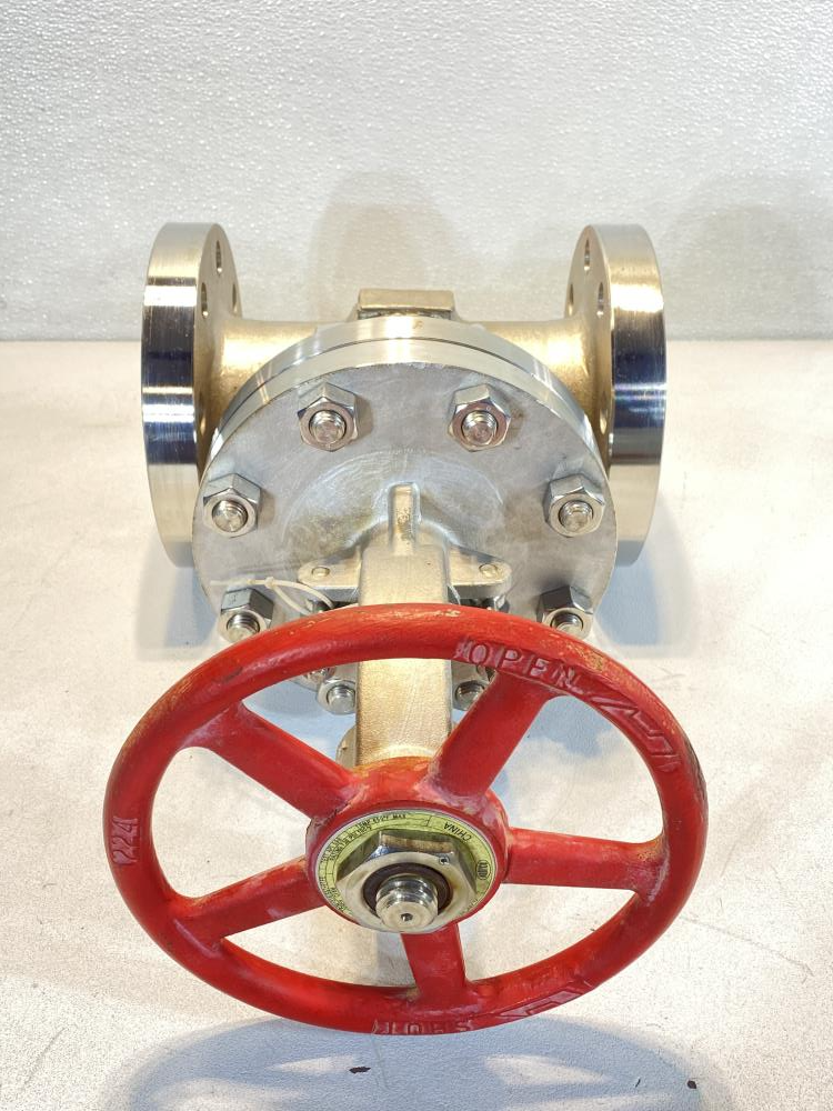 Aloyco 3" 300# Gate Valve CF8M Body 2117F