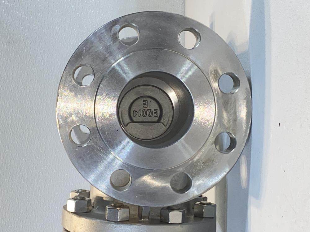 Global 3" 300# CF8M Gate Valve 