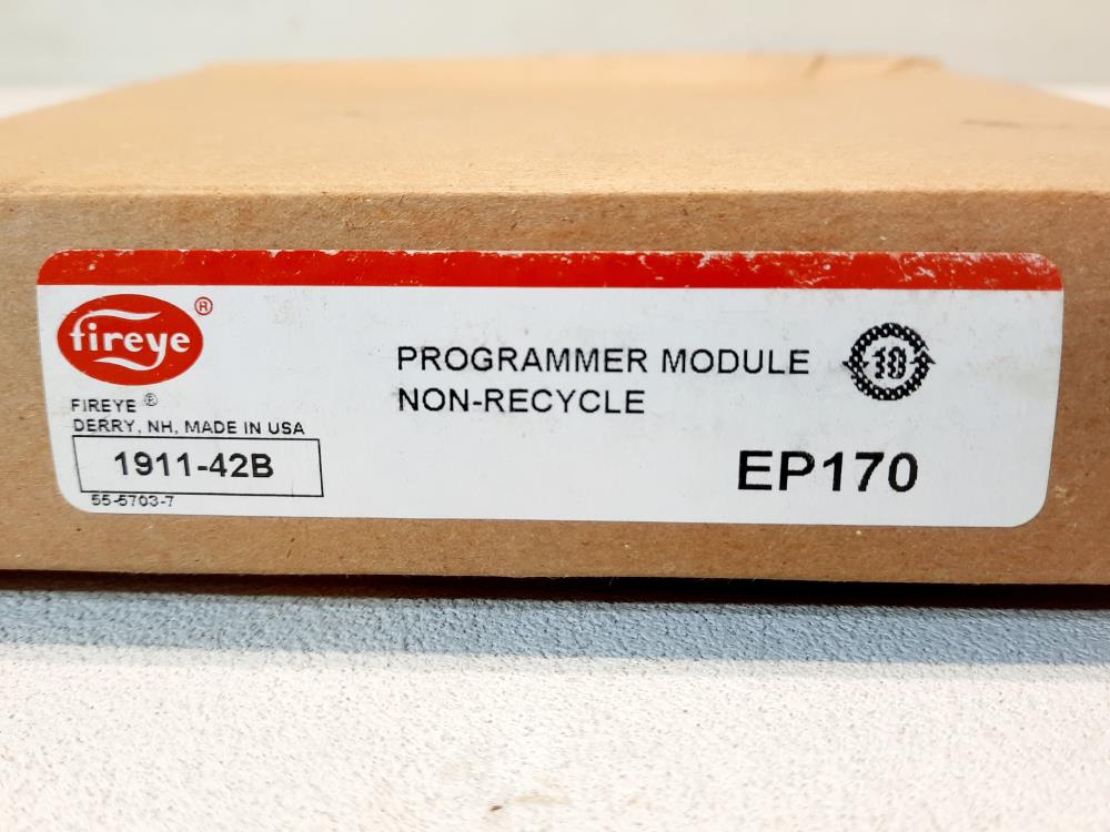 Fireye Program Module EP170