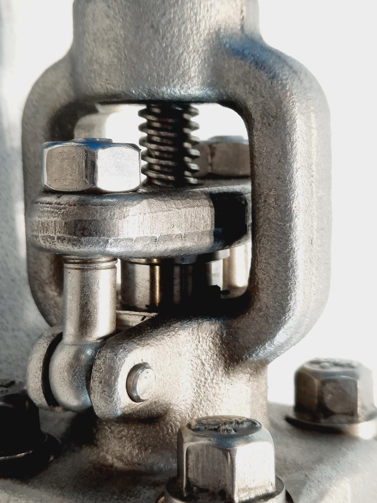 Sharpe 1/2" Threaded 316L Stainless Steel Gate Valve Class 800