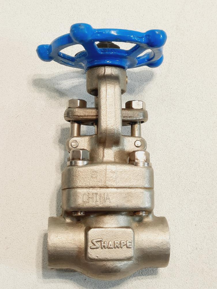 Sharpe 1/2" Threaded 316L Stainless Steel Gate Valve Class 800
