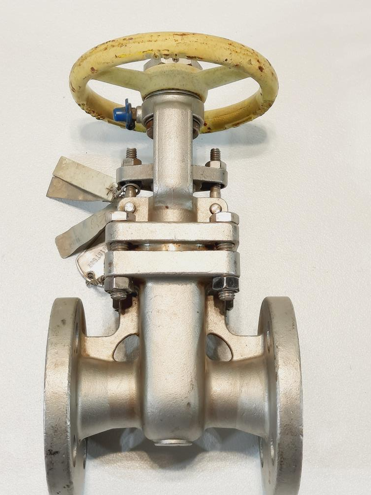 PK Valve 1"  150# CF8M Flanged RF Gate Valve Fig#: 150RF10SL-TFE