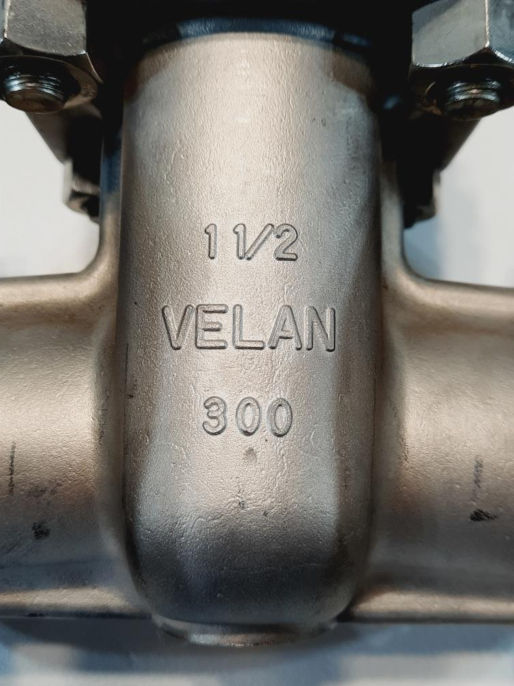 Velan 1-1/2" 300# CF8M RF Flanged Gate Valve