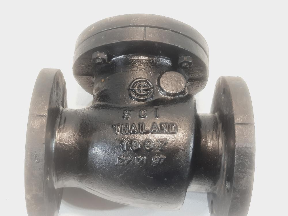 Matco 3" 125 WSP Check Valve