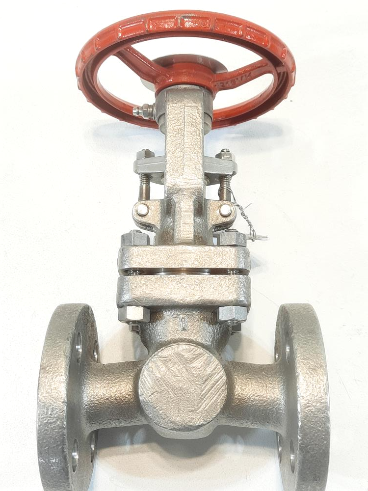 Kitz 1" 300# CF8 Gate Valve KZF190007-04