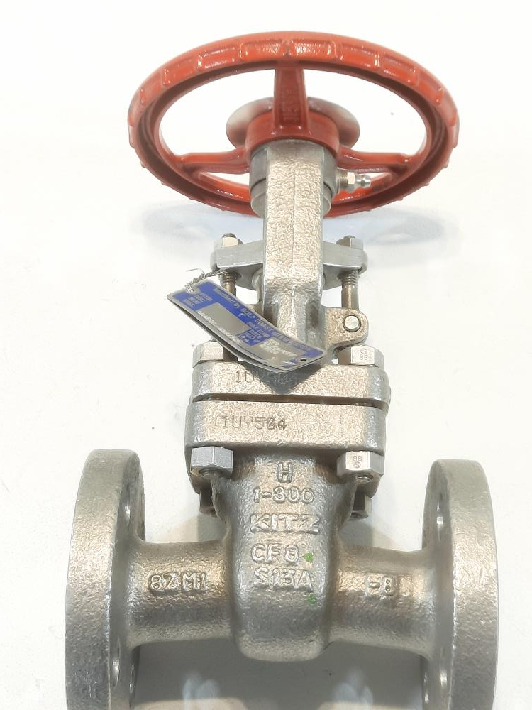 Kitz 1" 300# CF8 Gate Valve KZF190007-04