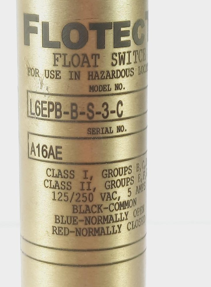 Flotect Liquid Level Switch L6EPB SS3C