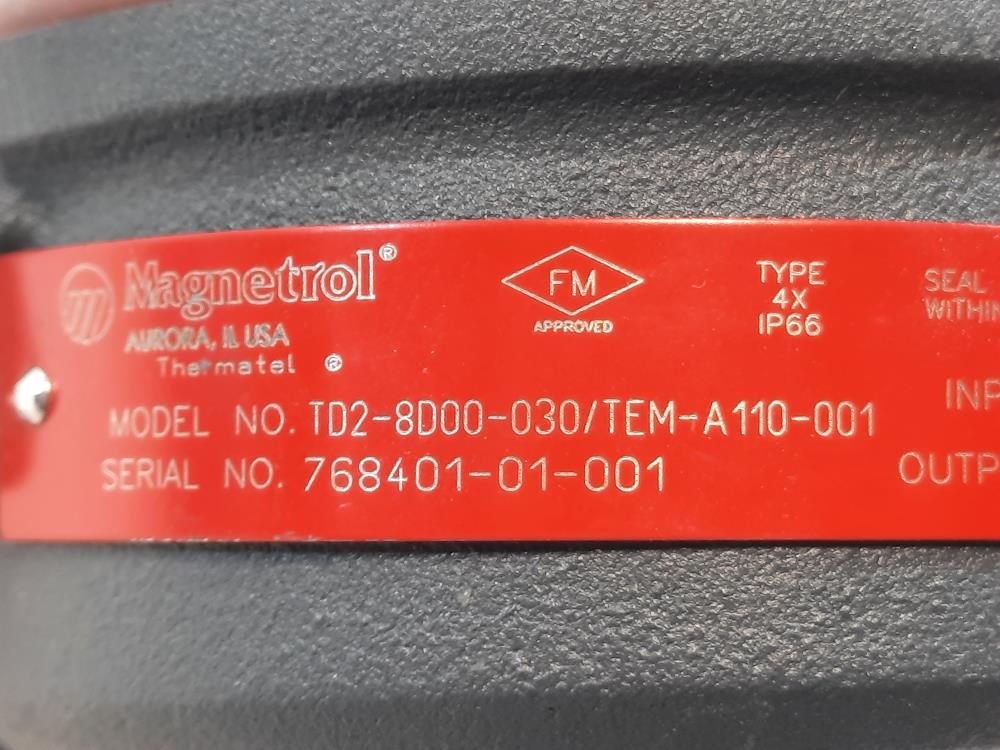 Magnetrol Thermal Dispersion Switch TD2-8D00-030/TEM-A110-001