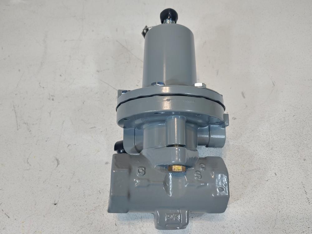 Fisher 1" Control Valve Type 119