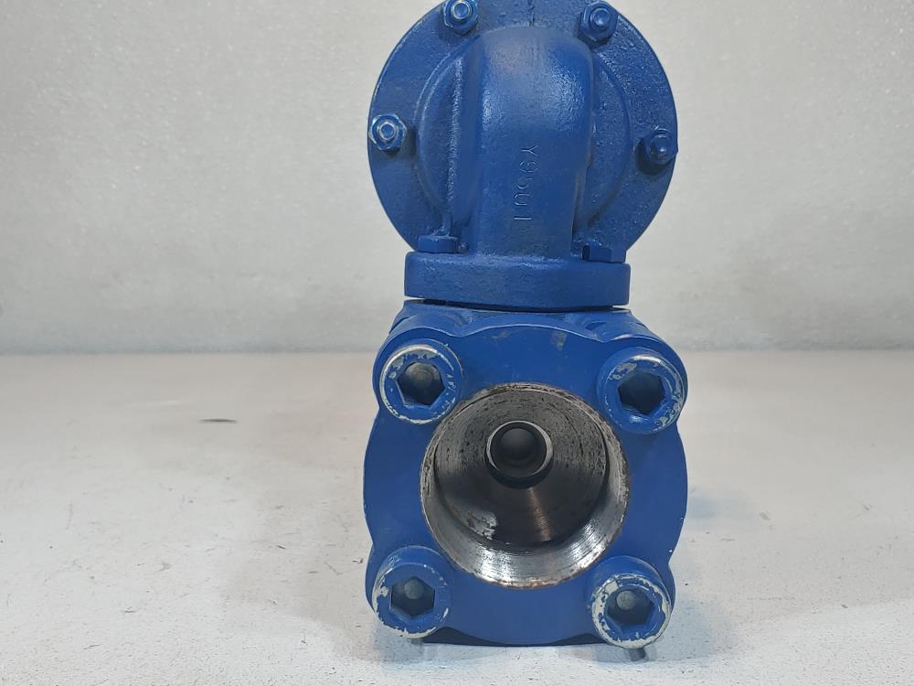 Wellmark Series 2001PR Pressure Regulator Model 2HD-3S50N