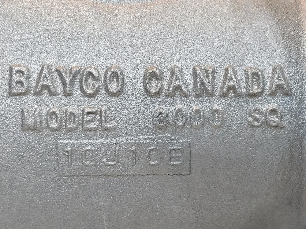 Dixon Bayco 3000 Series 3" Flange Square Swing Check Valve