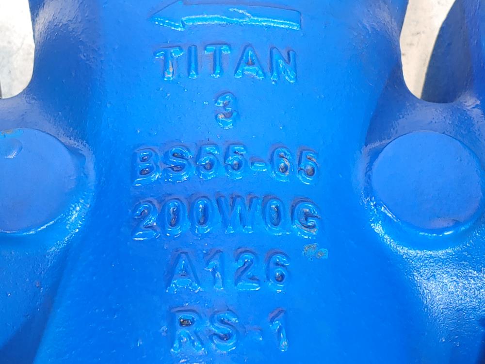 Titan BS55-65 Iron Flanged Basket Strainer 3" 