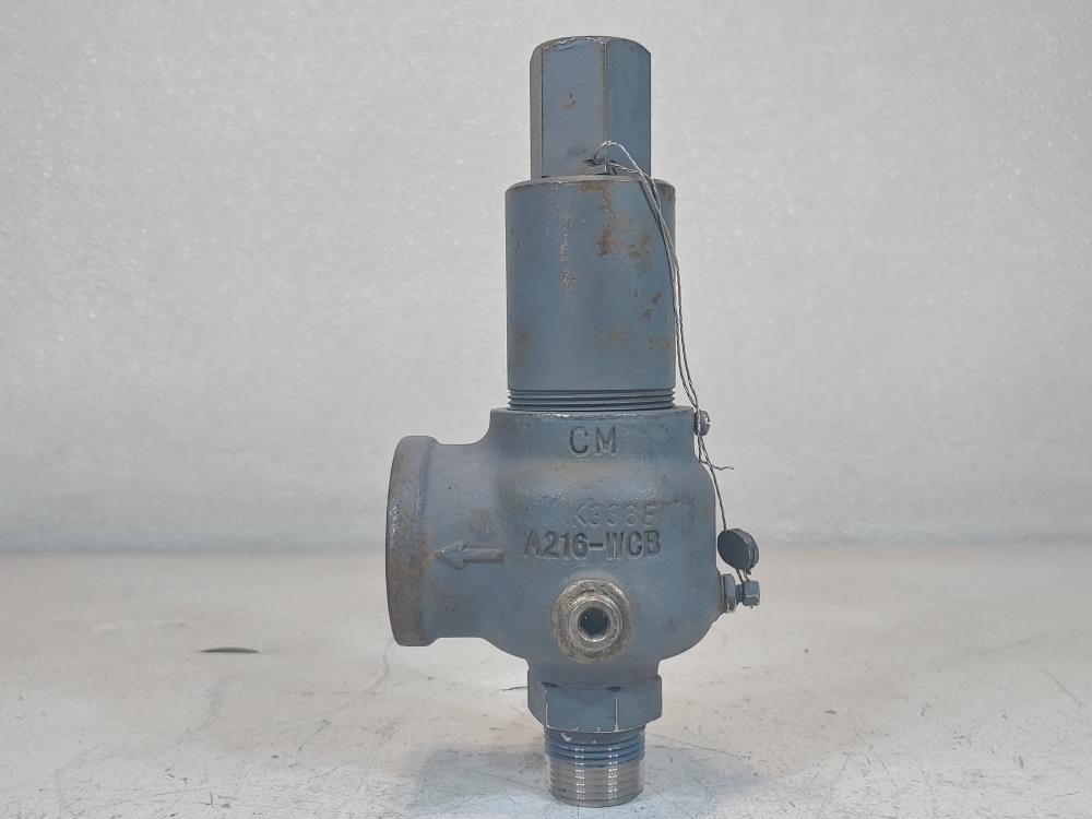 Kunkle 3/4" MNPT X 1-1/4" FNPT Relief Valve 916BEDV01BJE