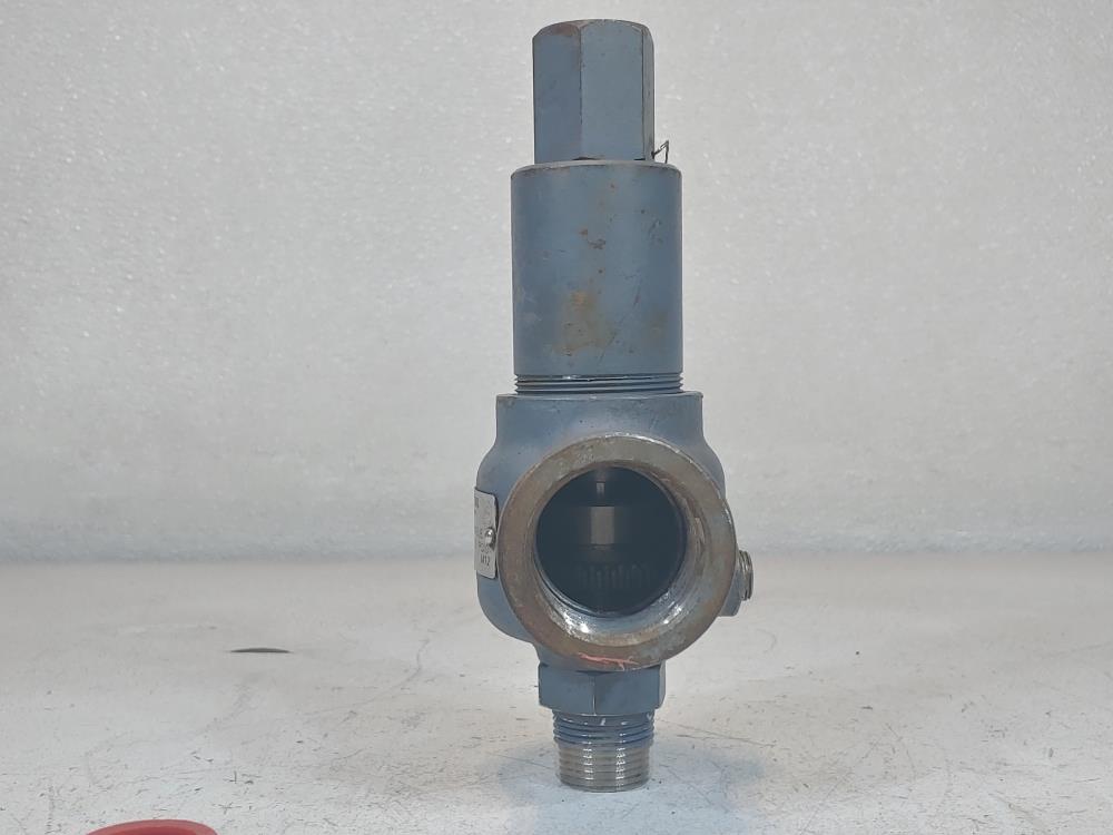 Kunkle 3/4" MNPT X 1-1/4" FNPT Relief Valve 916BEDV01BJE