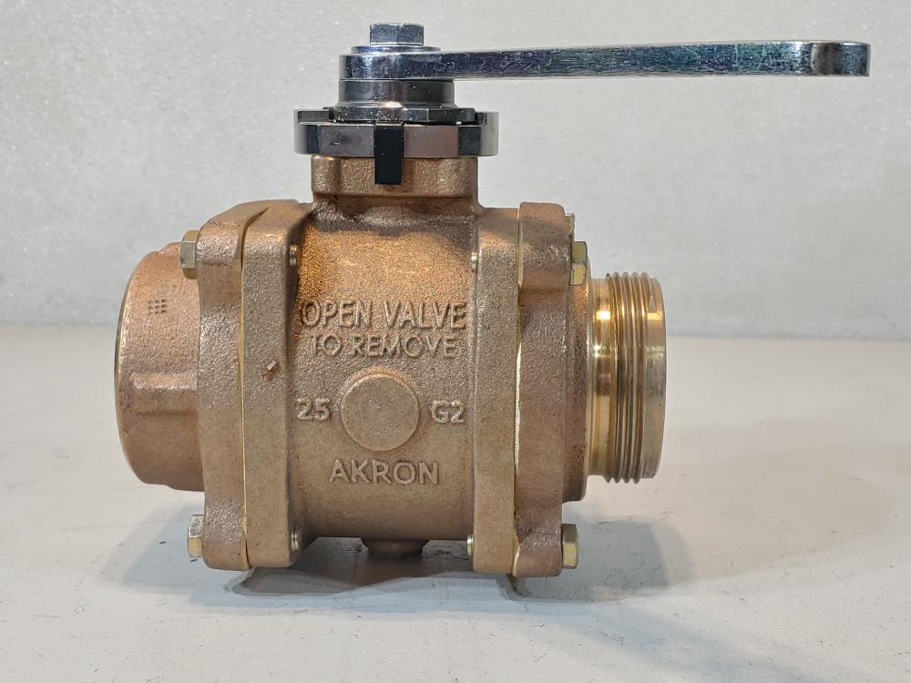 Akron 2.5" FNPT X 2.5" NST Brass Heavy-Duty Swing Out Valve 88250119