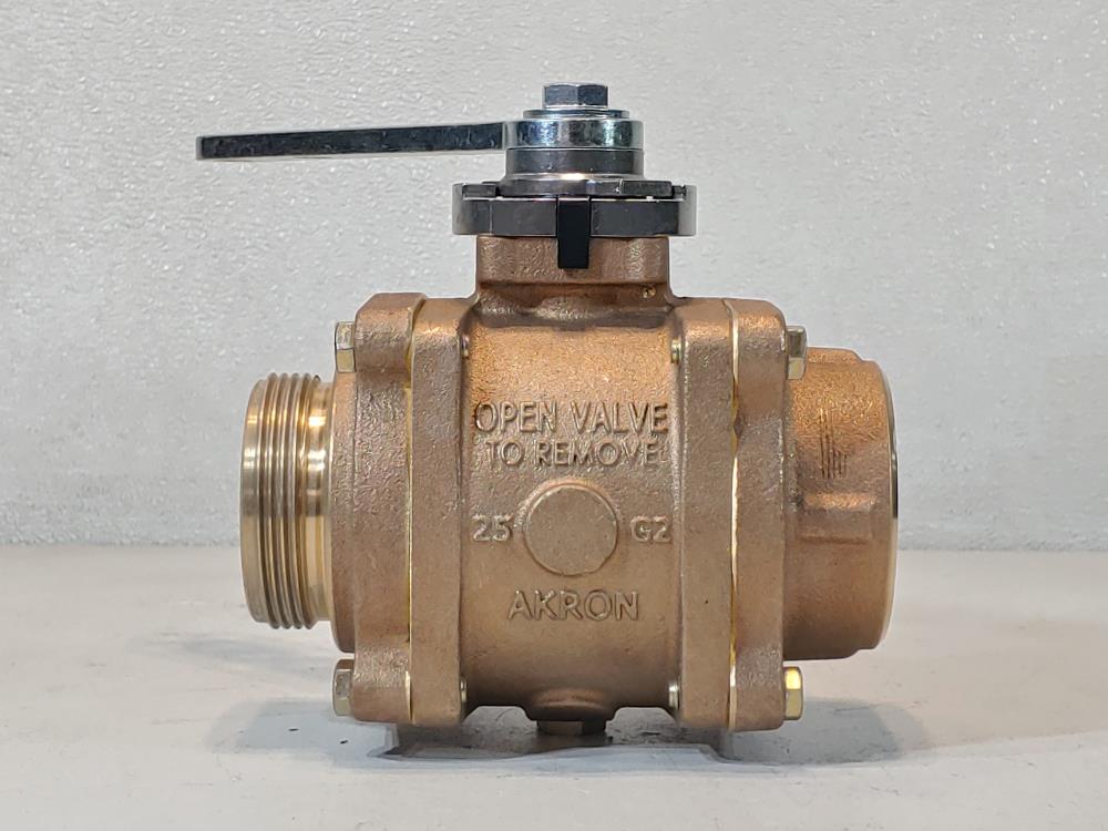 Akron 2.5" FNPT X 2.5" NST Brass Heavy-Duty Swing Out Valve 88250119