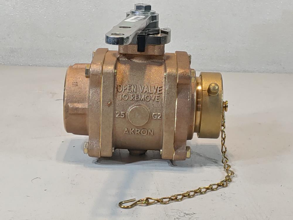 Akron 2.5" FNPT X 2.5" NST Brass Heavy-Duty Swing Out Valve 88250119